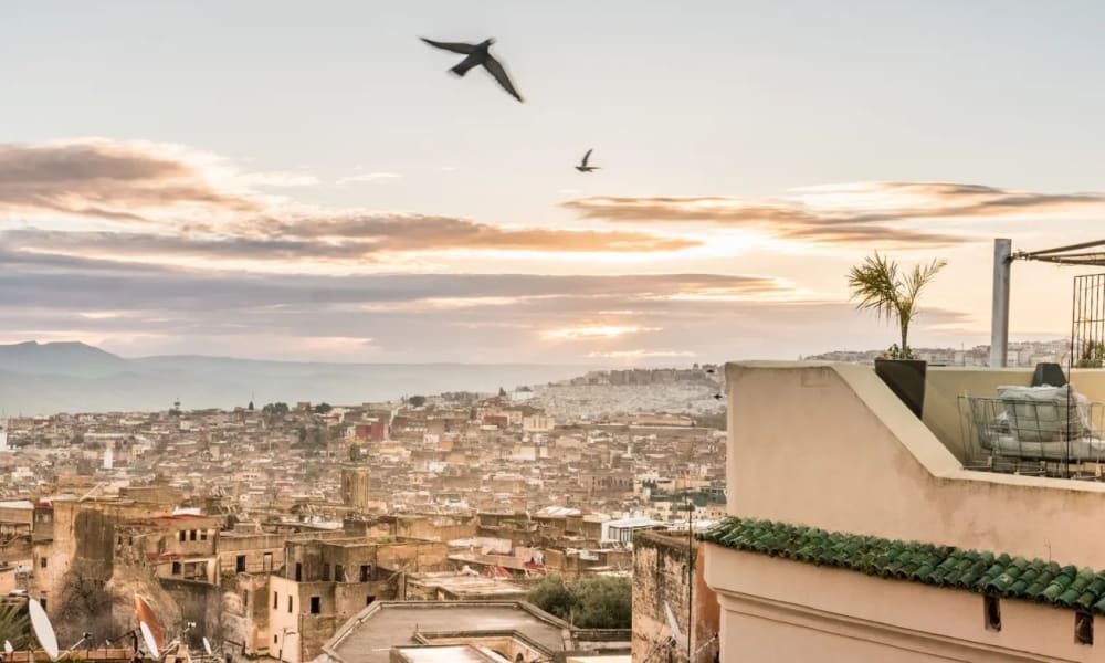 Stadtansicht von einem Dachterrasse in Fes bei Sonnenuntergang, mit fliegenden Vögeln am Himmel und Bergen im Hintergrund.