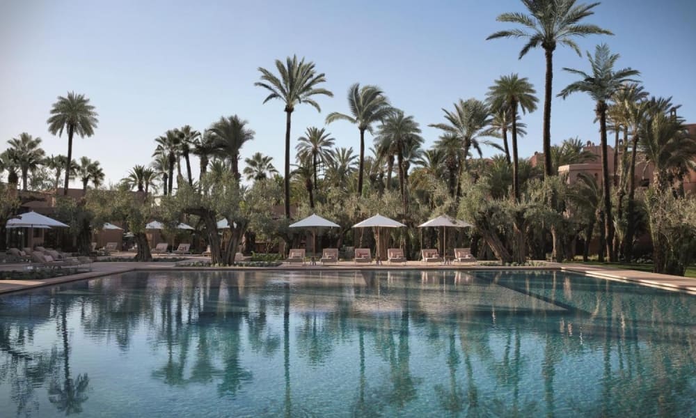An outdoor swimming pool surrounded by palm trees and lounge chairs with umbrellas, under a clear blue sky.