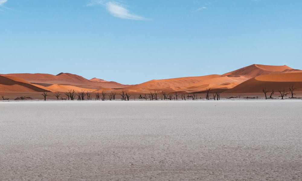 Heller Salzboden, abgestorbene Bäume und eine rote Dünenlandschaft