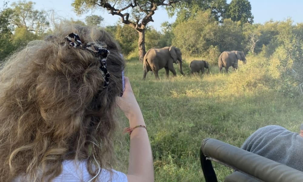A young girl with curly hair taking a photo of elephants in a grassy landscape.