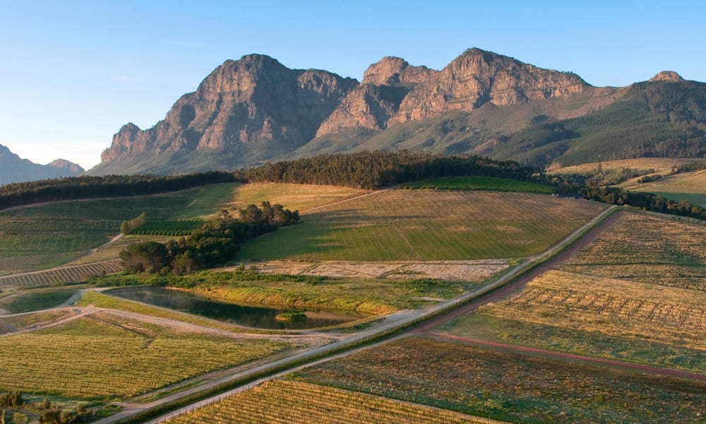 Ein malerischer Blick auf sanfte Weinberge in den Winelands, Südafrika, mit Bergen im Hintergrund bei Tageslicht.