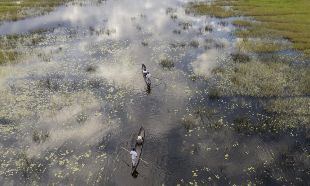 Zwei Mokoro Boote von oben auf dem Okavango Delta