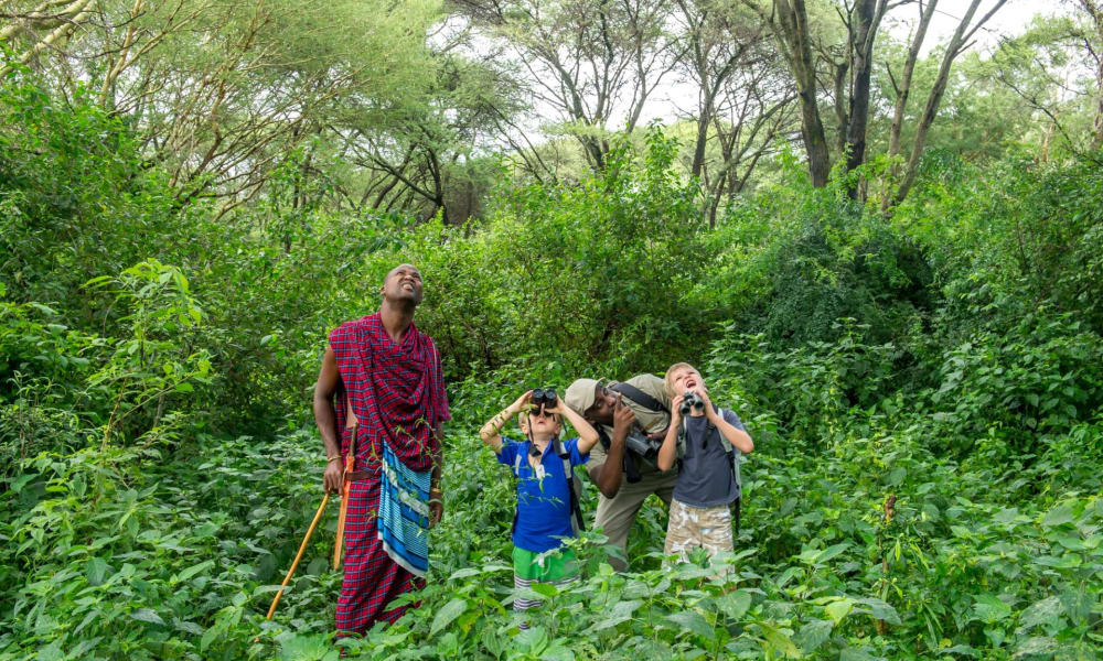 A group of four people, including two children, are exploring a lush green forest with binoculars and a staff, looking upward in curiosity.