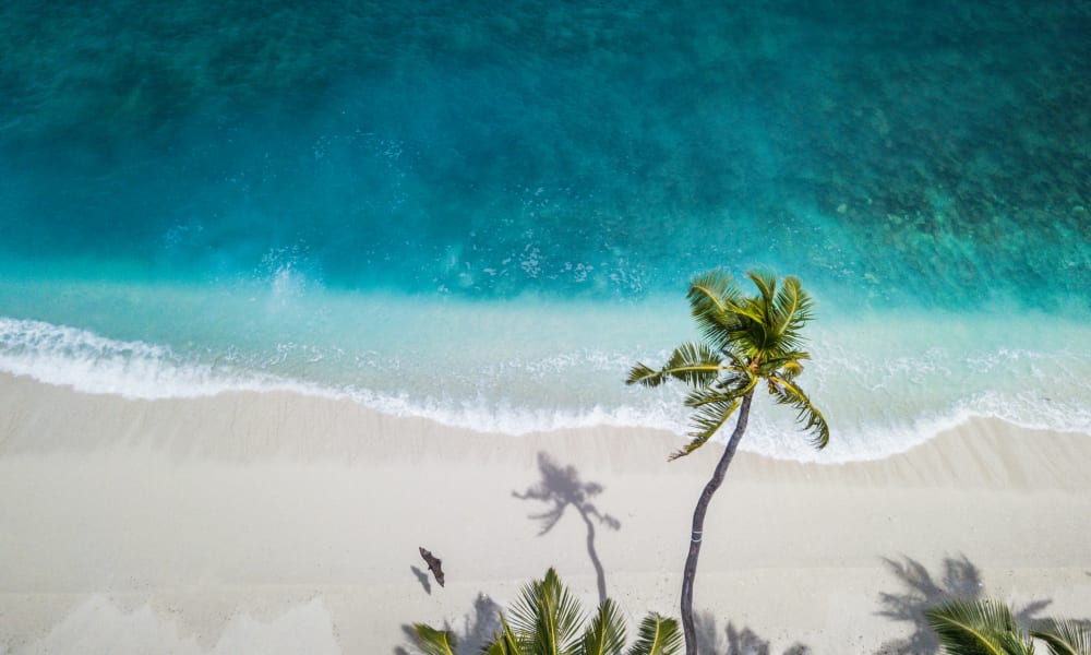 Luftaufnahme eines tropischen Strandes mit weißem Sand, türkisfarbenem Wasser und hohen Palmen, die Schatten werfen.
