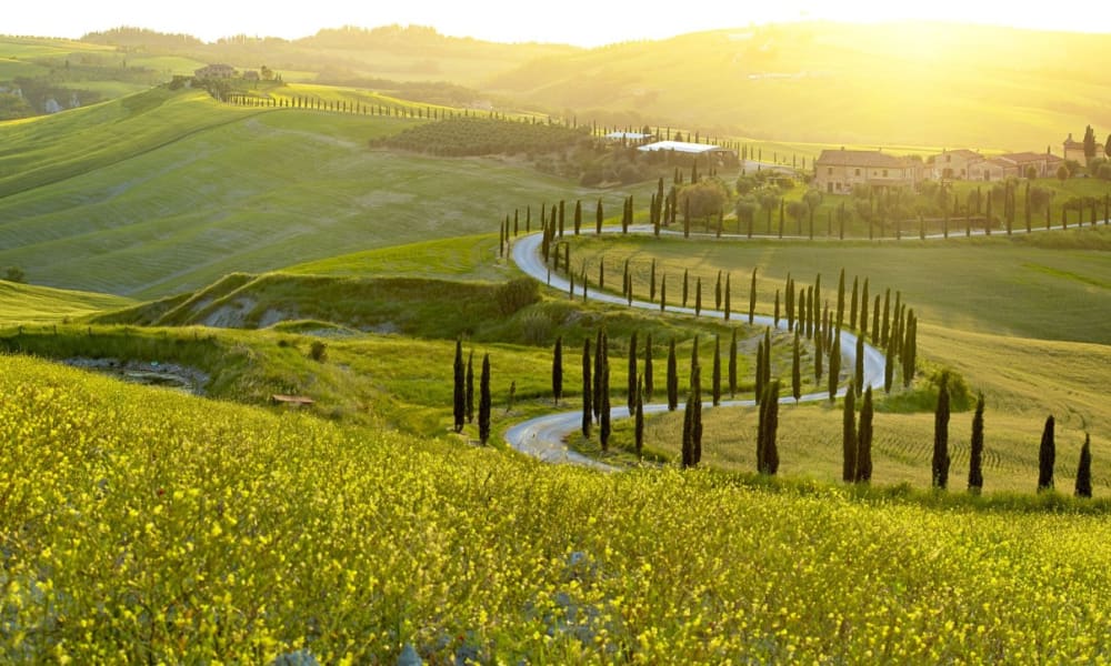 Sunset over rolling green hills with a winding road and rows of cypress trees in Tuscany, Italy.
