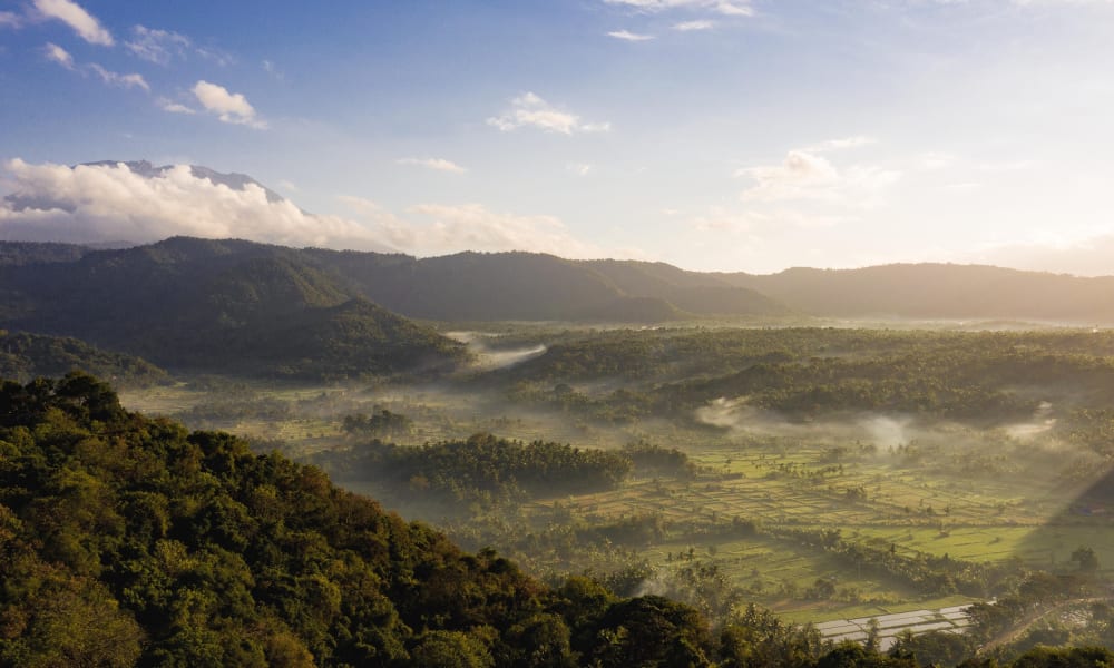 Eine üppig grüne Tal mit aufsteigendem Nebel zwischen Hügeln unter einem teilweise bewölkten Himmel in Bali.
