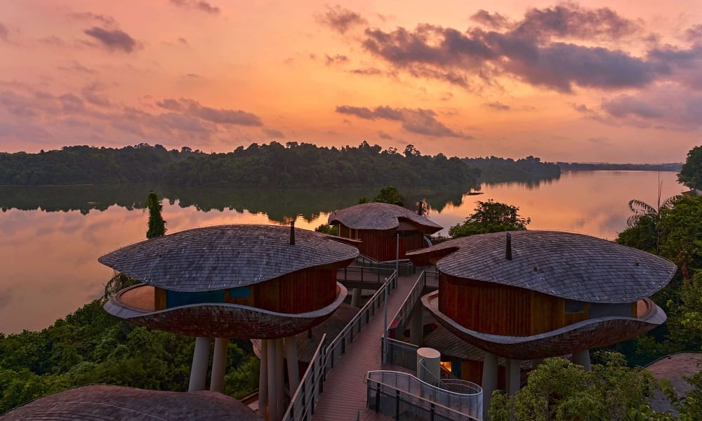 Gebäude mit geschwungenen Dächern des Mandai Rainforest Resort by Banyan Tree, umgeben von dichtem Grün neben einem ruhigen Fluss unter einem lebhaften Sonnenuntergangshimmel.