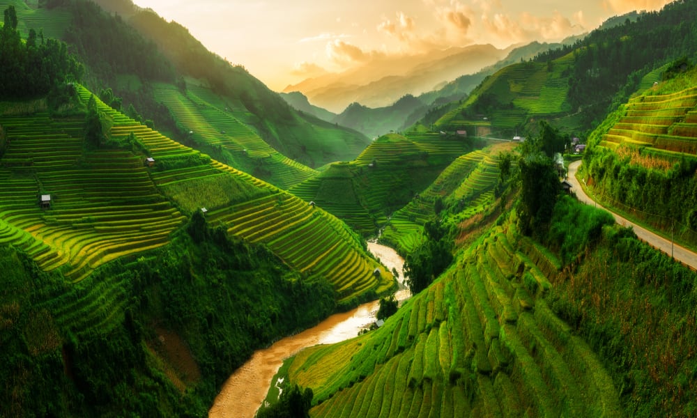 Lush green terraced rice fields cover the mountainside under a sunset sky in Sapa, Vietnam.