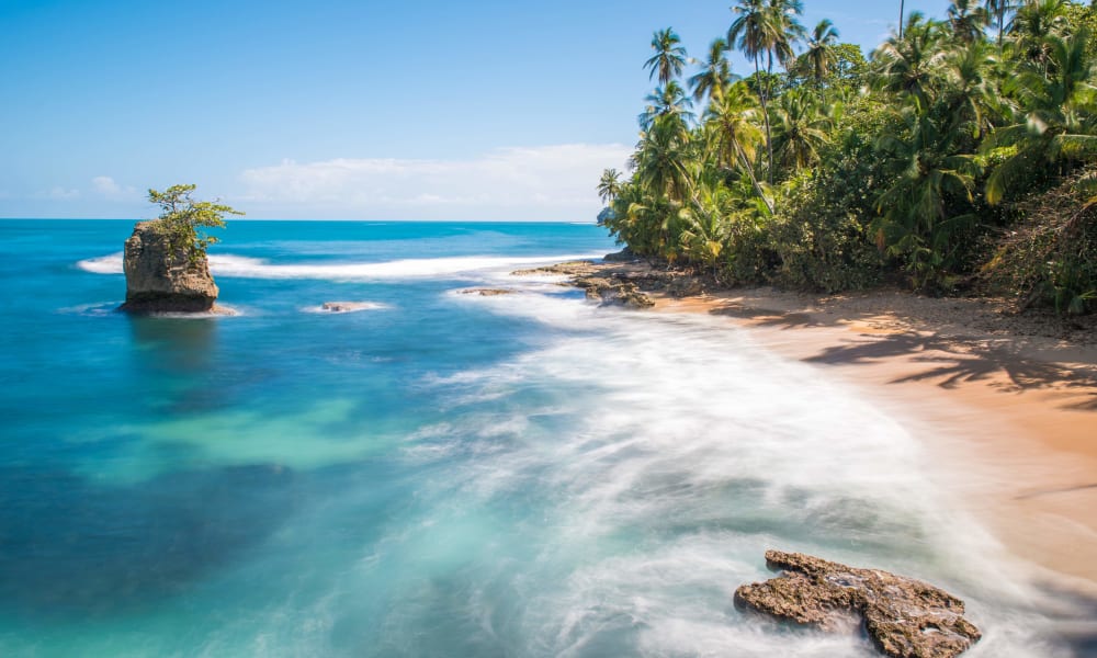 Tropischer Strand mit Palmen und Felsen am Ufer unter klarem blauem Himmel.