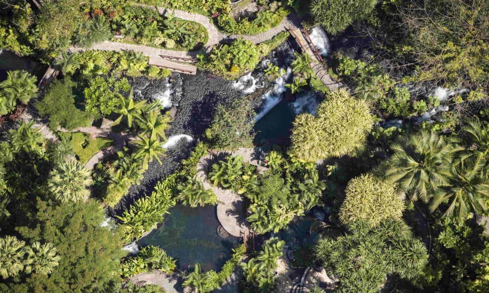 Aerial view of Tabacón Thermal Resort and Spa showing lush greenery, pathways, and small pools amidst dense tropical trees.