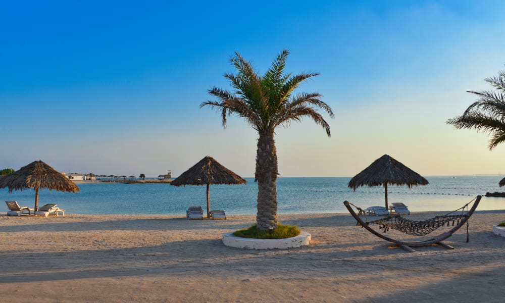 Eine ruhige Strandlandschaft mit einer Palme, strohgedeckten Sonnenschirmen, einer Hängematte und ruhigem Wasser unter einem klaren blauen Himmel.