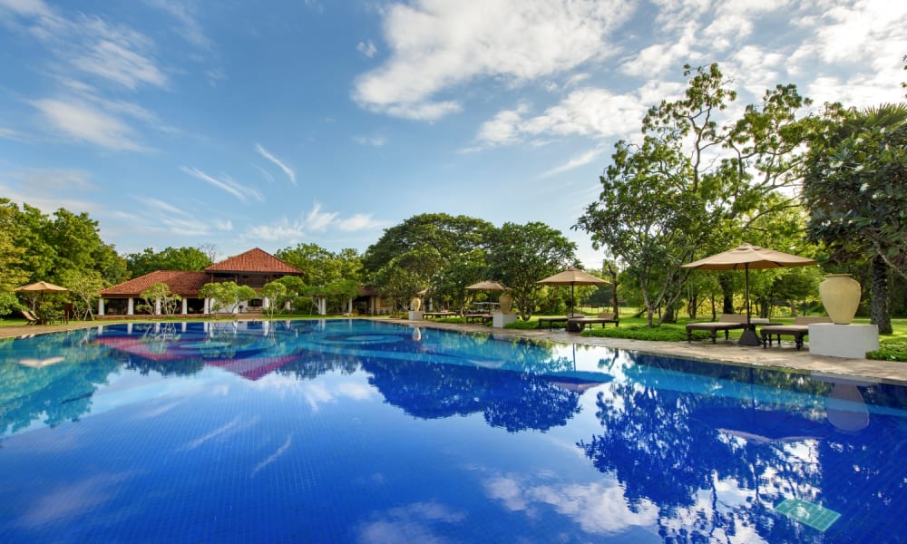 Ein großer Swimmingpool mit klarem Wasser spiegelt den blauen Himmel und die umliegenden Bäume wider, umgeben von Liegestühlen und Sonnenschirmen in einer grünen Gartenanlage.