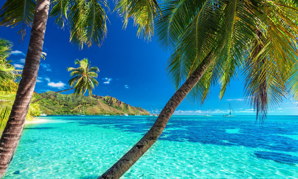 Tropischer Strand mit Palmen über klarem turquoise Wasser und üppiger grüner Insel im Hintergrund.