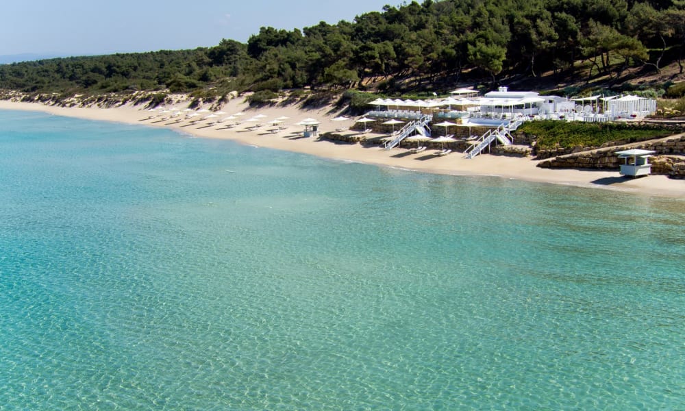 Eine ruhige Strandlandschaft mit klarem türkisfarbenem Wasser, einem Sandstrand und einer Reihe von Strandhütten vor einem bewaldeten Hintergrund.