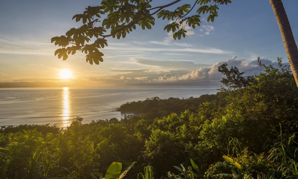Sonnenuntergang über dem Meer, gesehen von einem üppigen Regenwald mit dichtem grünen Laub und Bäumen in Costa Rica.