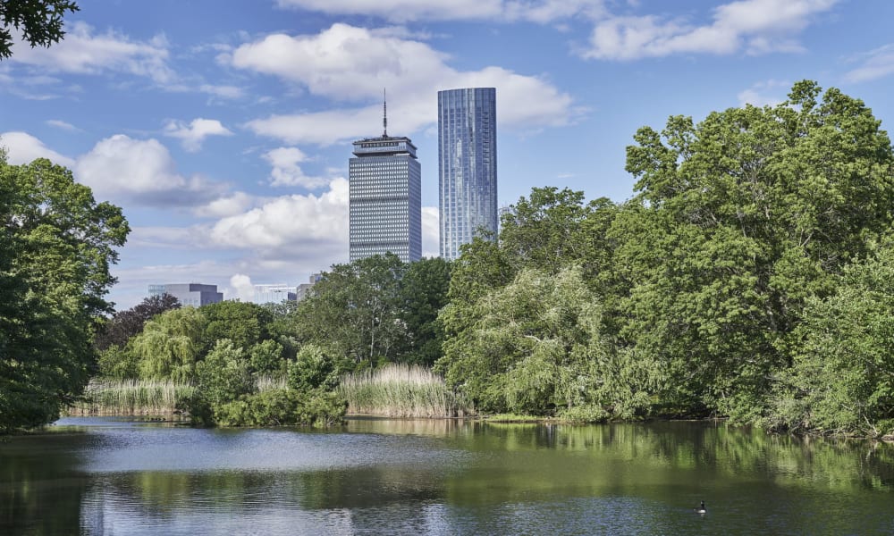 Ein Stadtpark mit ruhigem Fluss und üppigen grünen Bäumen im Vordergrund, und moderne Wolkenkratzer im Hintergrund unter einem teilweise bewölkten Himmel.