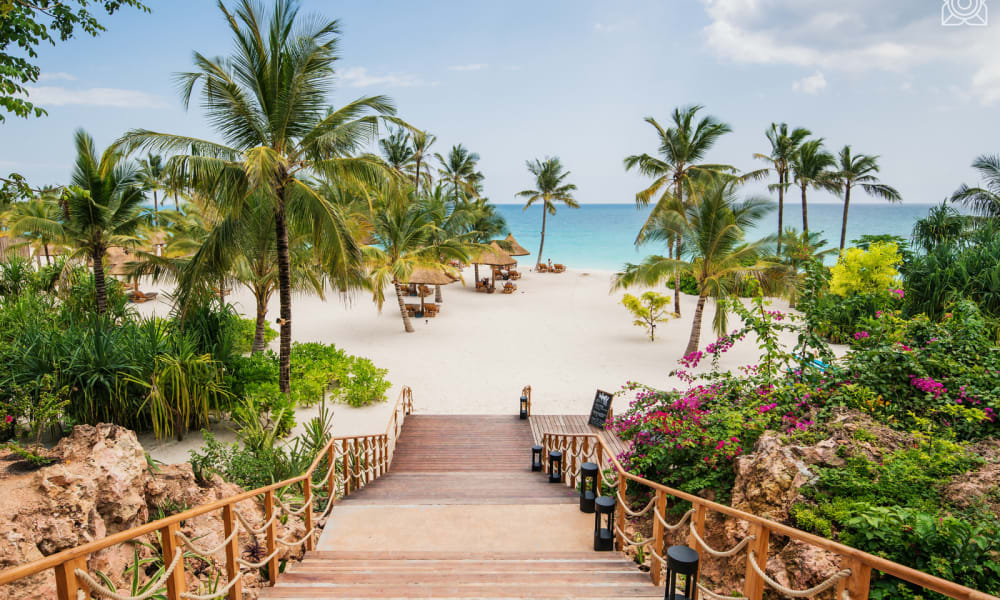 Wooden stairs leading down to a tropical beach with palm trees and turquoise water in the background.