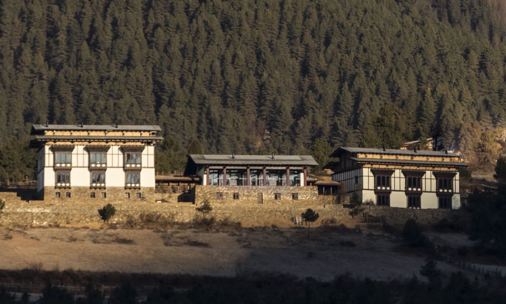 Three traditional Bhutanese buildings with intricate woodwork sit in front of a forested mountain.