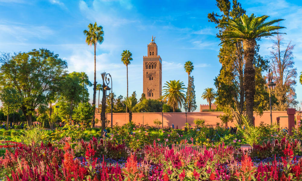 Üppiger Garten mit bunten Blumen und hohen Palmen vor dem Turm der Koutoubia-Moschee in Marrakesh.