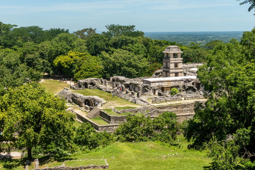 Antike Steinhruinen von Palenque, umgeben von dichtem grünem Wald unter klarem Himmel in Chiapas, Mexiko.