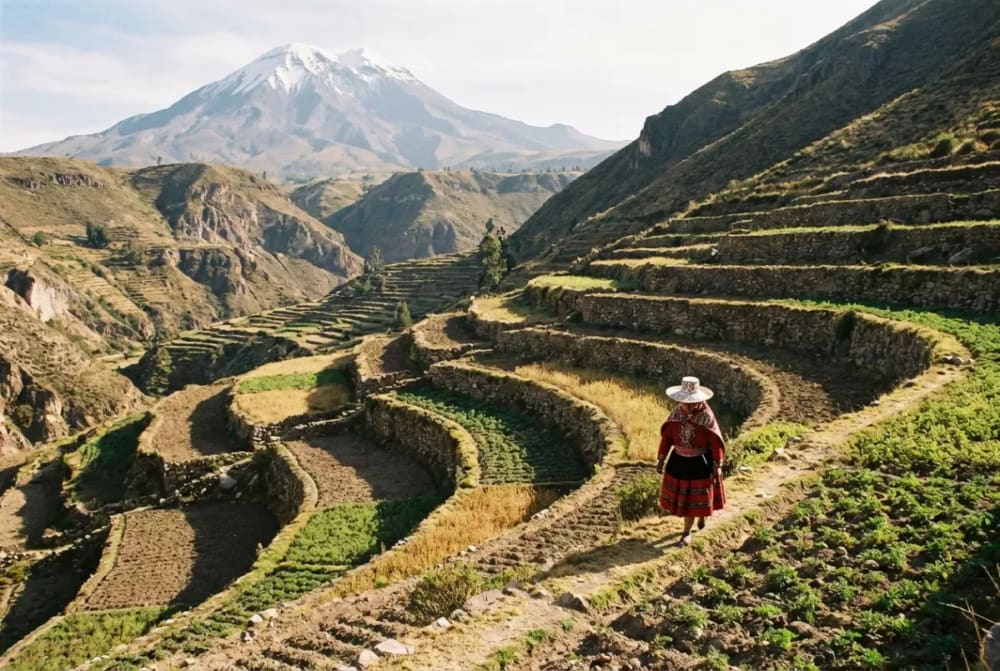 Terrassenlandschaft im Colca-Tal mit einer Frau in traditioneller Collagua-Tracht