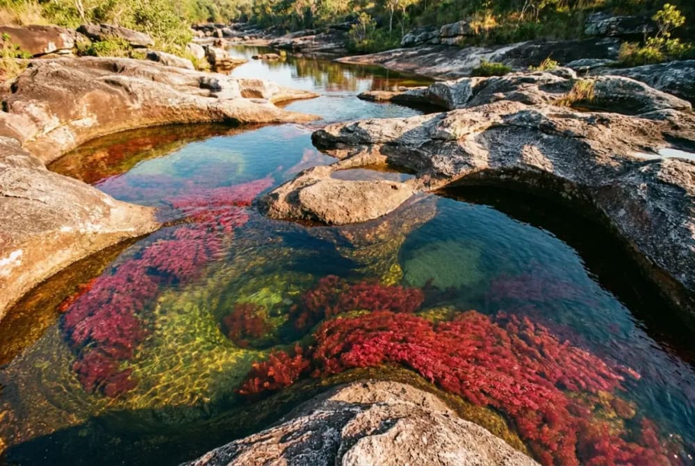 Los Ochos am Caño Cristales — natürliche Felspools in Achterform mit rotem Flussboden und klarem Wasser