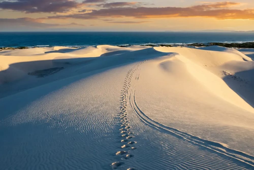 Sanddünen von Joaquina in Florianópolis mit Sandboarder und Fußspuren im goldenen Abendlicht
