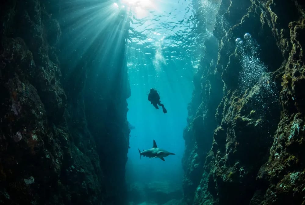 Taucher im schmalen Kanal zwischen den zwei Felsnadeln von Kicker Rock mit Galapagos-Hai, San Cristobal