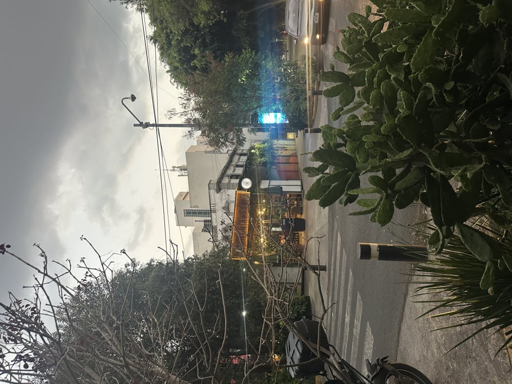 Abendliche Straßenansicht an einem Zebrastreifen in La Condesa, Mexiko-Stadt mit Bäumen, einem Motorrad, parkendem Auto und einem beleuchteten Café im Hintergrund.