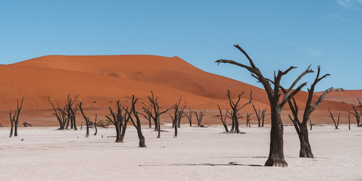 Wüstenlandschaft im Dead Vlei in Namibia