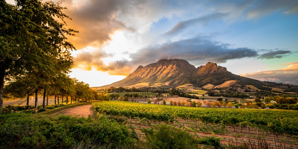 Sonnenuntergang über den Weinbergen von Stellenbosch