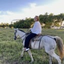 Eine Frau mit weißer Bluse und schwarzer Hose reitet auf einem weißen Pferd in einem grasbewachsenen Feld mit Palmen und Wald im Hintergrund unter klarem Himmel.