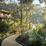 A winding wooden pathway through lush tropical plants and trees leads to a wooden treehouse in a dense jungle setting.