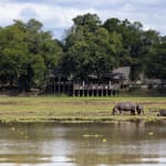 Two hippopotamuses wallowing in a river near a lush green riverbank with trees and a wooden building in the background.
