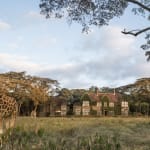 A giraffe standing on a grassy field near a large house with trees in the background.