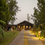 A cozy modern cabin surrounded by trees with a lit pathway leading to its entrance during dusk.