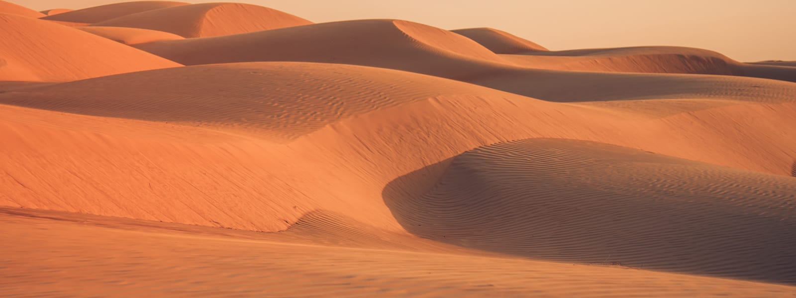Vast sand dunes of the Wahiba Desert in Oman under a clear sky at sunset.