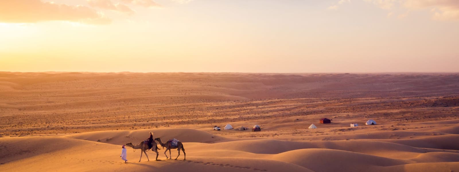 Zwei Kamele mit ihren Führern laufen über die goldenen Sanddünen der Wahiba-Wüste bei Sonnenuntergang, im Hintergrund Zelte.