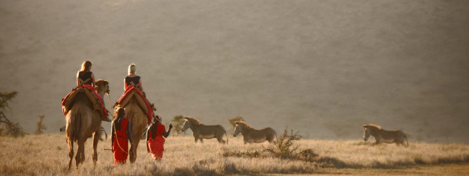 Zwei Touristen reiten auf Kamelen in einer weiten, offenen Landschaft mit einer entfernten Herde grasender Tiere und einem hügeligen Hintergrund.