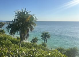 Üppiges Grün mit Palmen mit Blick auf das klare türkisfarbene Karibische Meer unter einem strahlend blauen Himmel, aufgenommen von einem Küstenpunkt in Tulum, Mexiko.