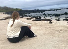 Eine Frau mit geflochtenem Pferdeschwanz sitzt am Sandstrand und schaut auf eine Gruppe von Seelöwen, die nahe dem felsigen Ufer unter bewölktem Himmel ruhen.