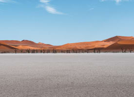 A vast desert landscape with dry cracked ground, sparse leafless trees in the middle distance, and orange sand dunes under a blue sky.