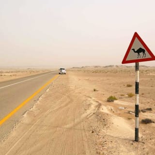 Eine Wüstenstraße mit einem Warnschild für Kamele am Straßenrand und einem weißen Auto in der Ferne.
