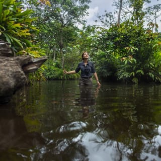 Eine Frau steht im Regenwald bis zum Oberkoerper in einem Fluss und schaut in die Luft