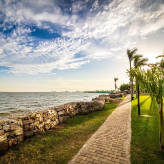 Lake Victoria on the left and a promenade with grass and palm trees on the right