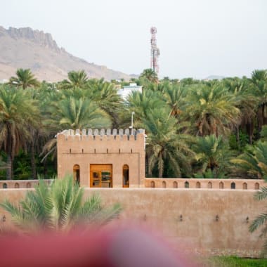 Blick auf eine historische beige Festung, umgeben von üppigen grünen Palmen, mit felsigen Hügeln im Hintergrund unter klarem Himmel.
