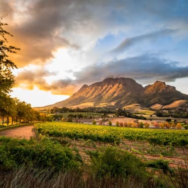 Weinberge und Sonnenuntergang