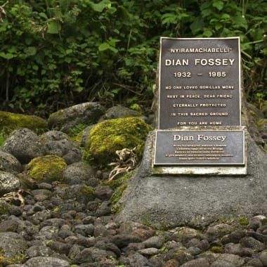 Der Grabstein von Dian Fossey 