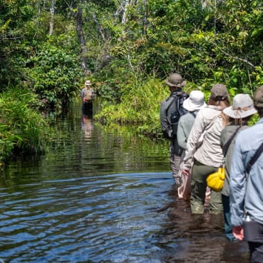 Eine Gruppe von Menschen wandert durch einen dichten, grünen Regenwald entlang eines wassergefüllten Weges.