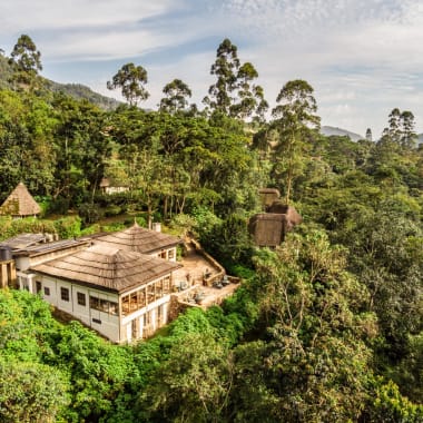 Hauptbereich der Bwindi Lodge inmitten des Waldes